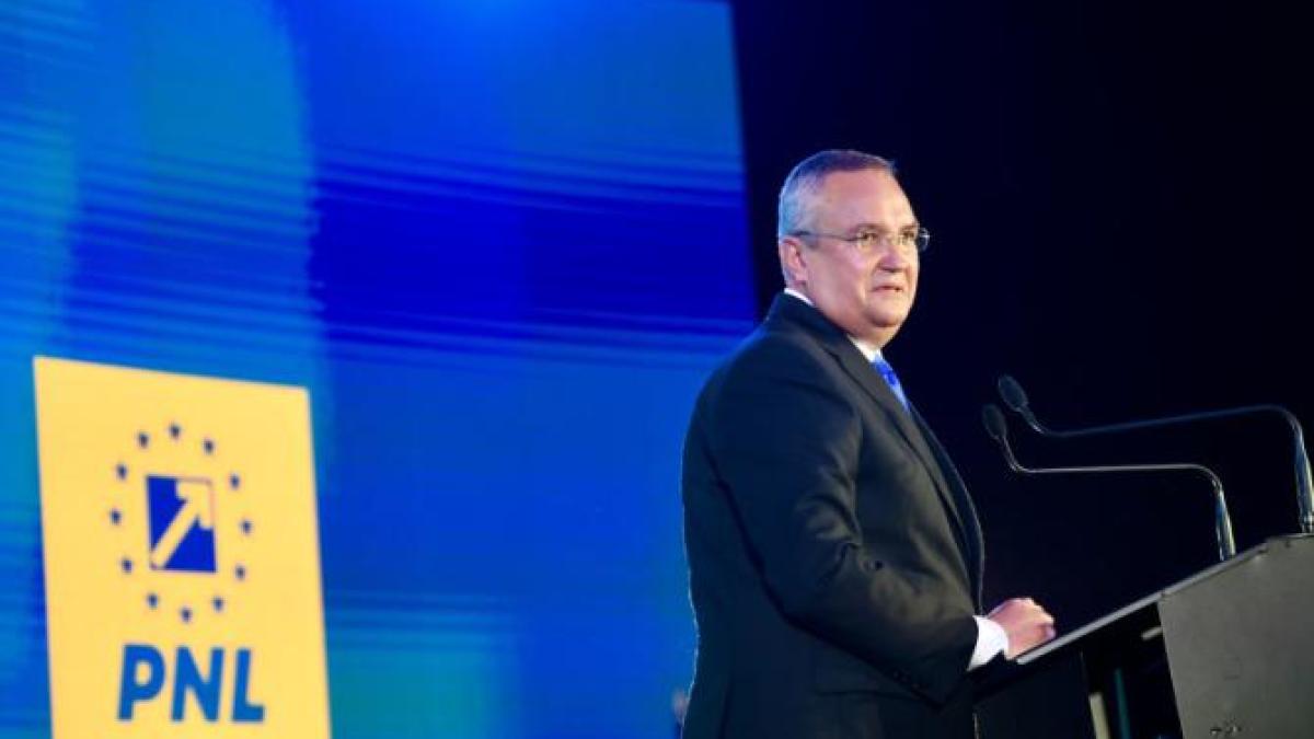 nicolae-ciuca-a-votat_85646700