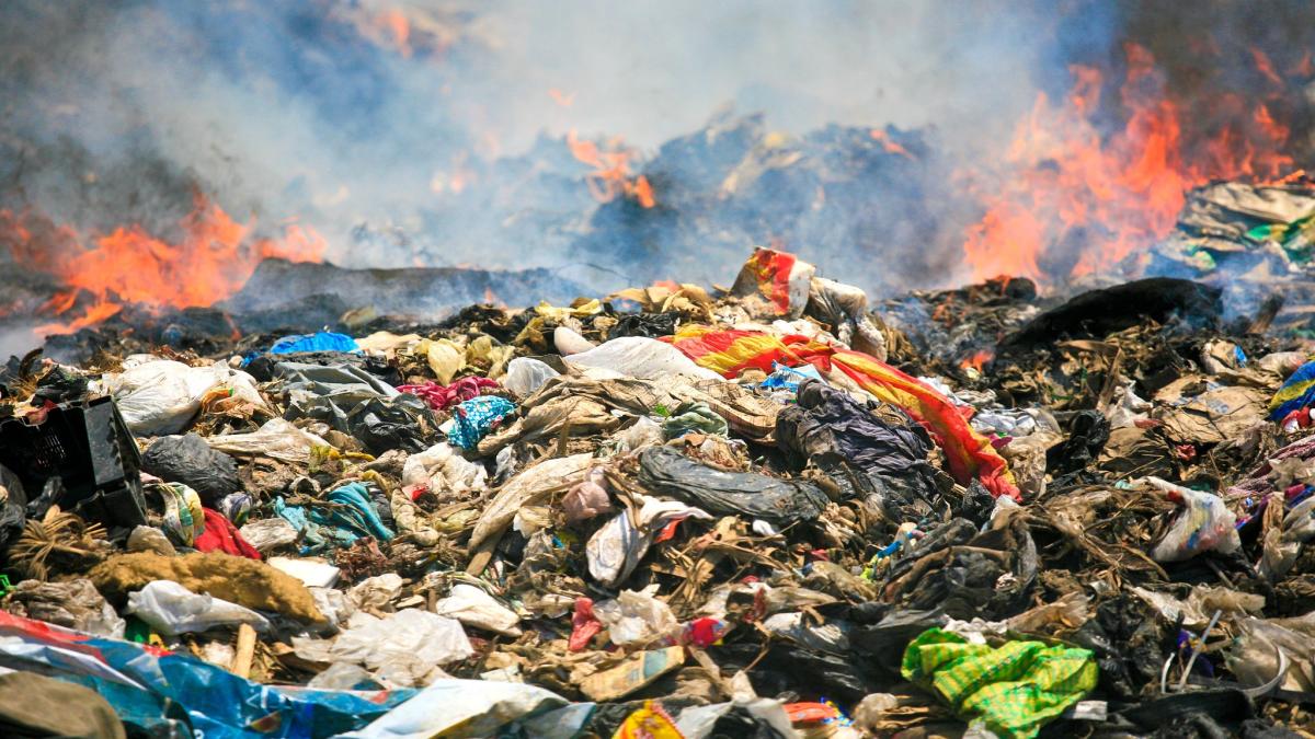 gunoaie_1_4_80338000