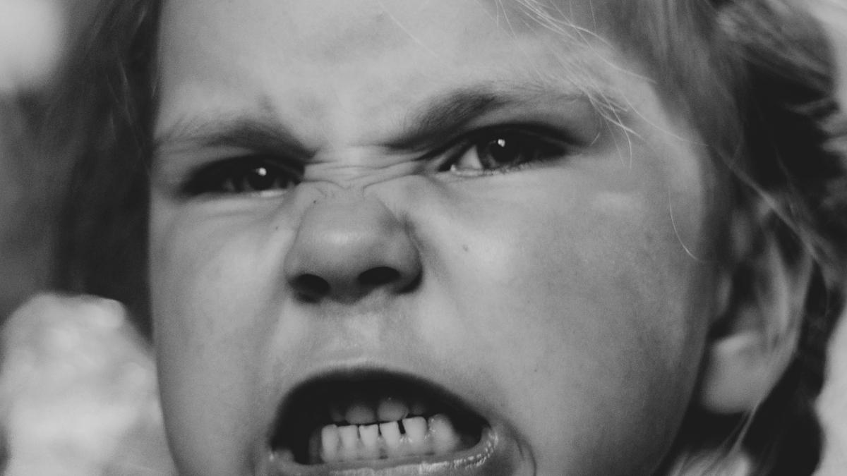 pexels-mitya-zotov-71755548-9443587_56195100