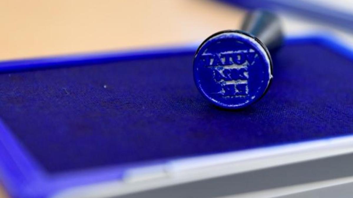 vot-alegeri-stampila_35887100