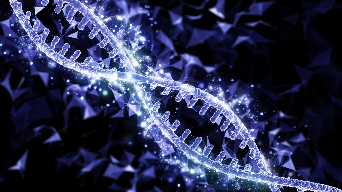 dna-strand-adn-gena_88063300