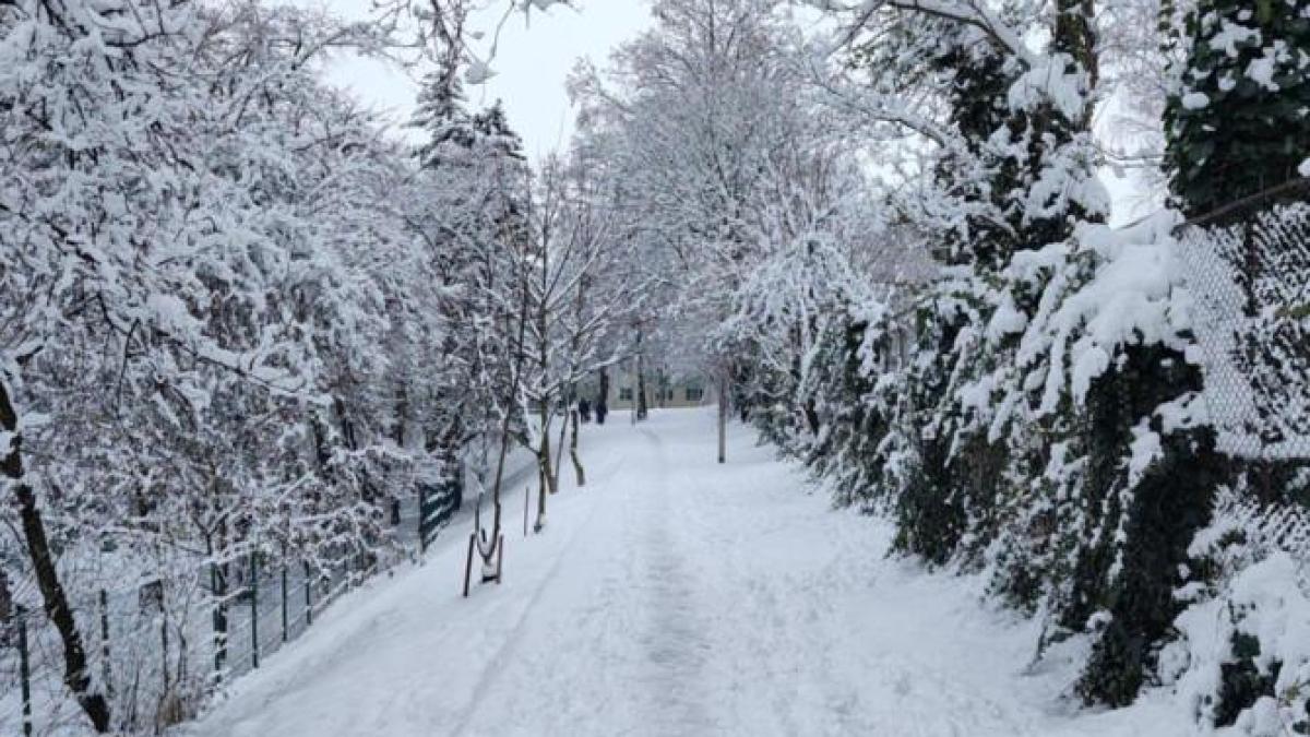 cod-galben-de-ninsori--pana-sambata--care-sunt-zonele-vizate_78707600