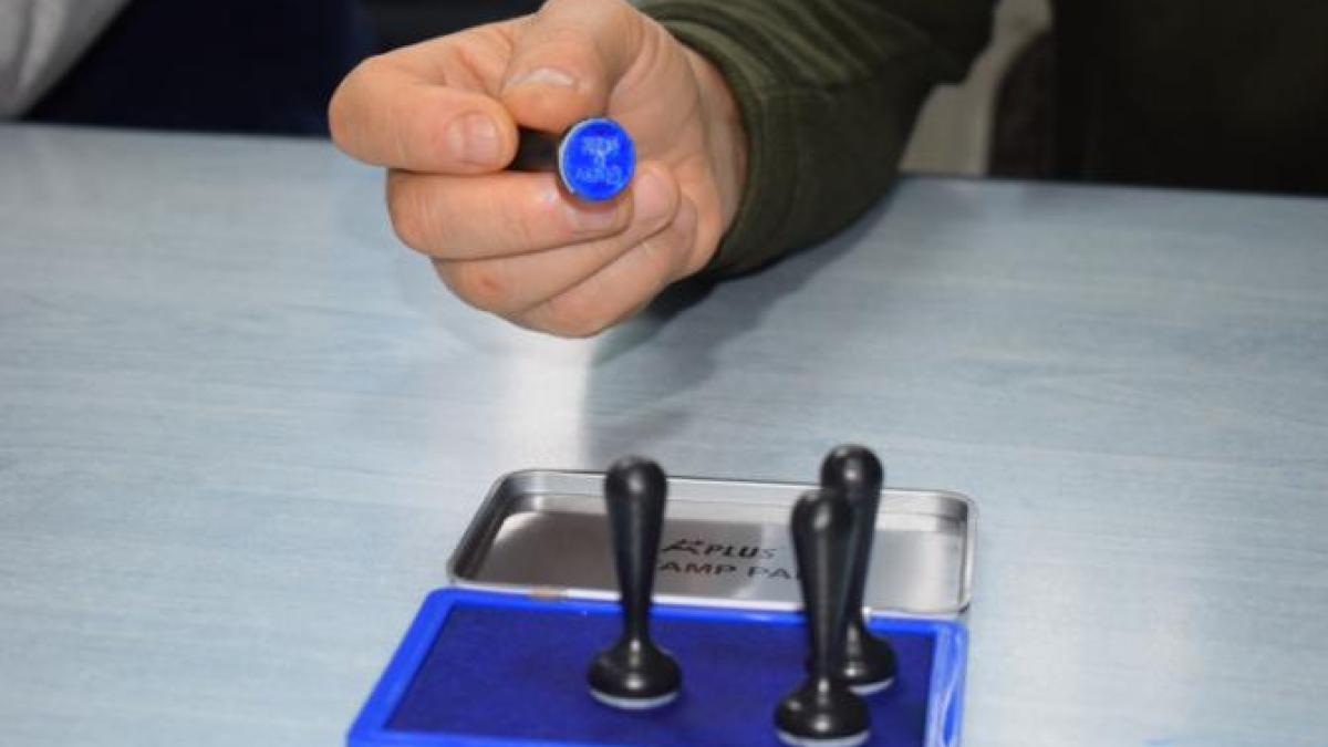 alegeri-vot-stampila3_75594300