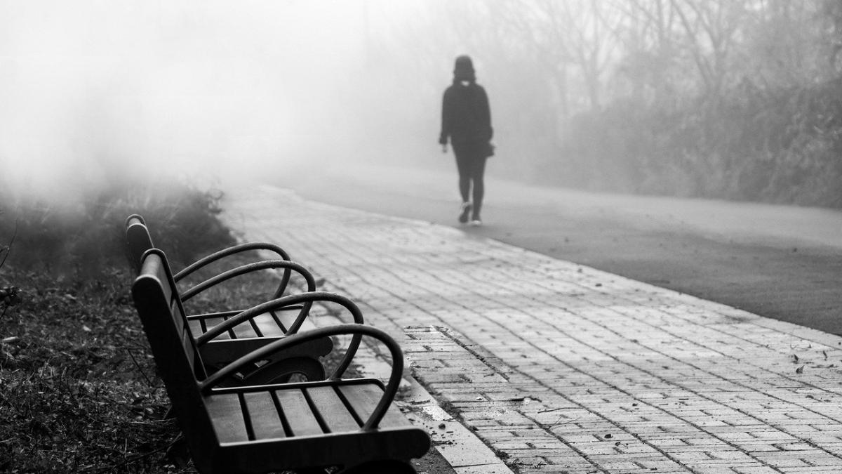 cod-galben-ceata-anm-2_67616700