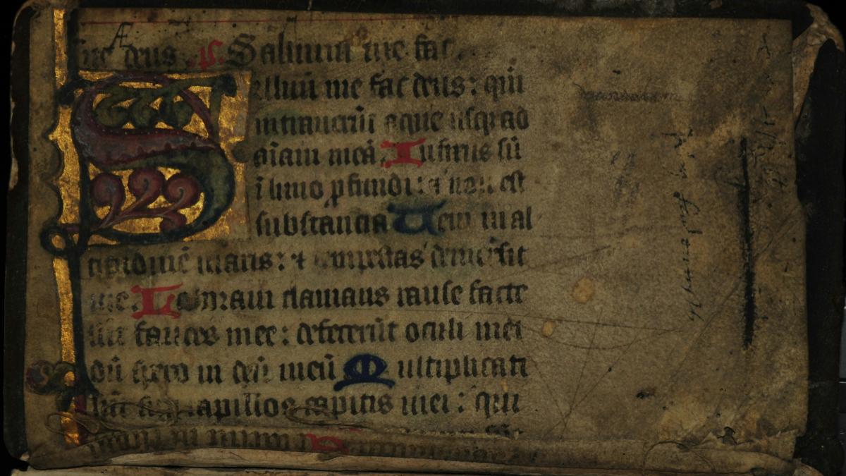 coranul-albastru_70208000