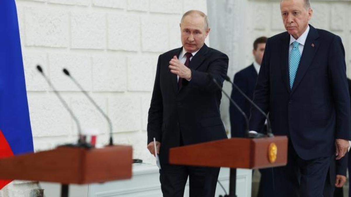 erdogan-putin_11058600