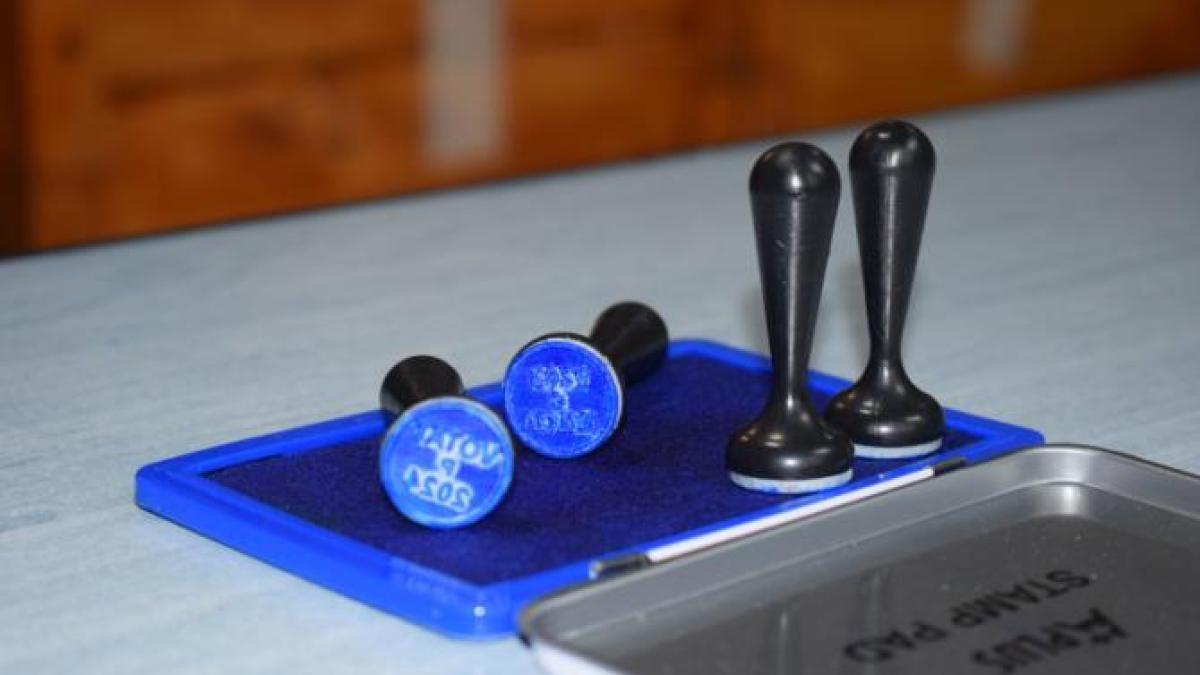 alegeri-vot-stampila-parlamentare2_08469100