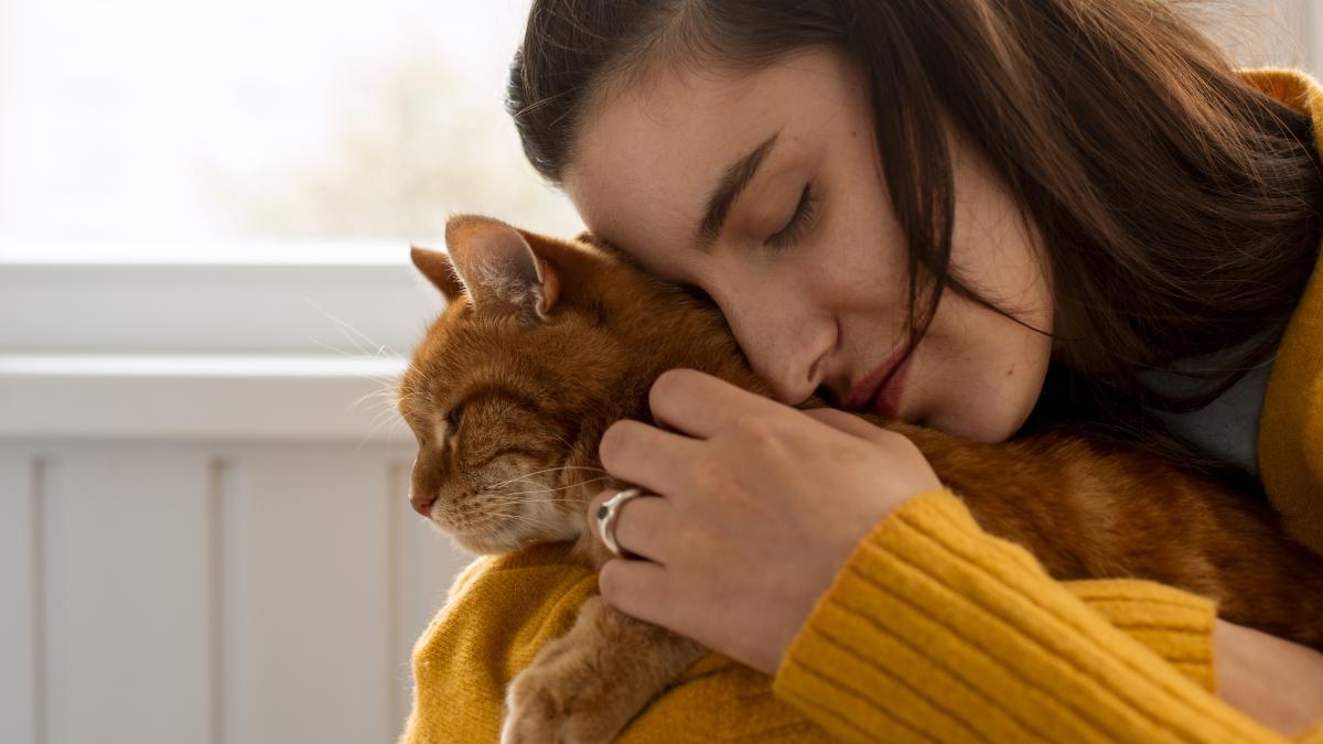 owner-with-cute-cat-pisica_62066400