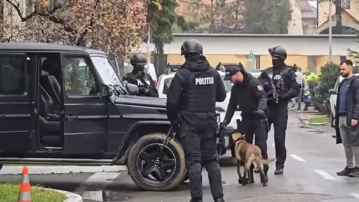 perchezitii-masini-potra_15947700