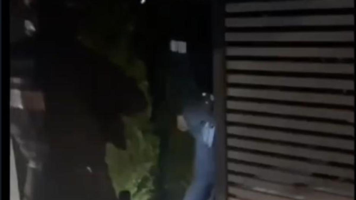 captura-de-ecran-din-2024-12-09-la-18-48-41_53057400