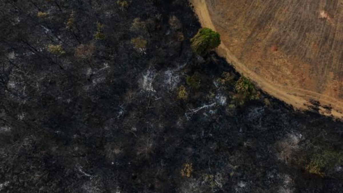 brazilia-foc-incendiu_56798400