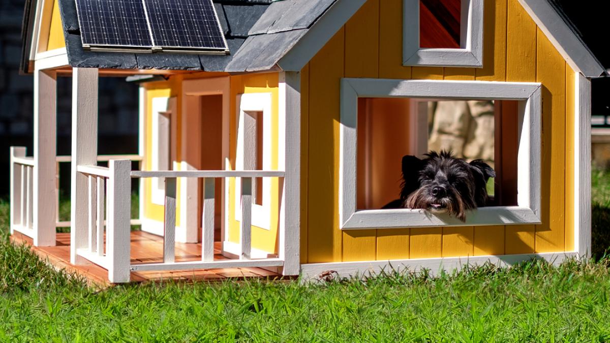 ppc-energie--partenerul-de-incredere-al-romanilor-pentru-programul-afm-casa-verde-2024-1_02843300