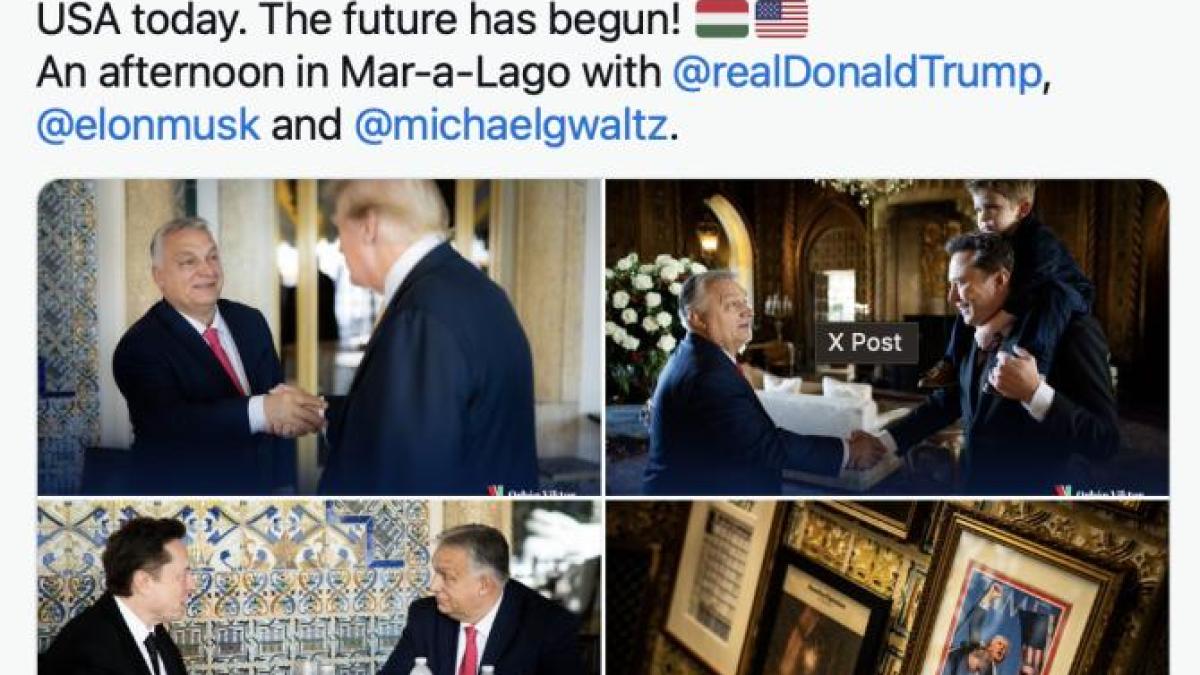 captura-de-ecran-din-2024-12-11-la-23-37-38_42687900