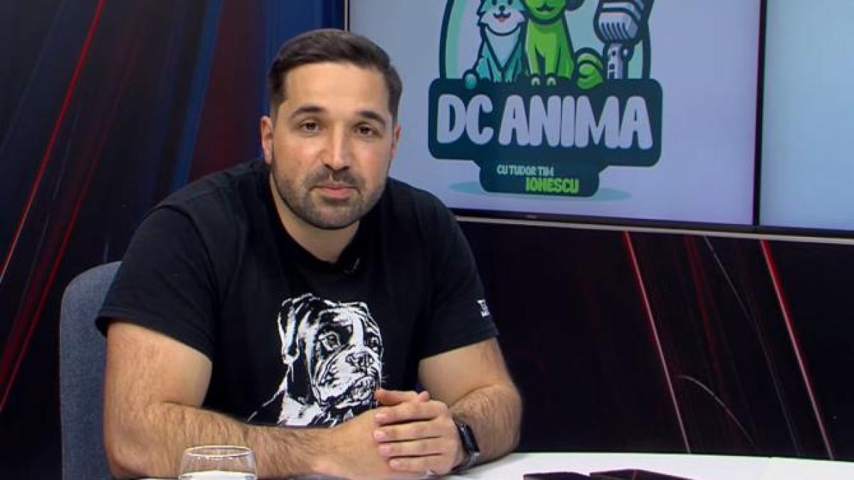 tudor-tim-ionescu--realizatorul-dc-anima--totul-despre-noua-emisiune-marca-dcmedia-group--subiecte-delicate-si-grija-pentru-animale_66855700