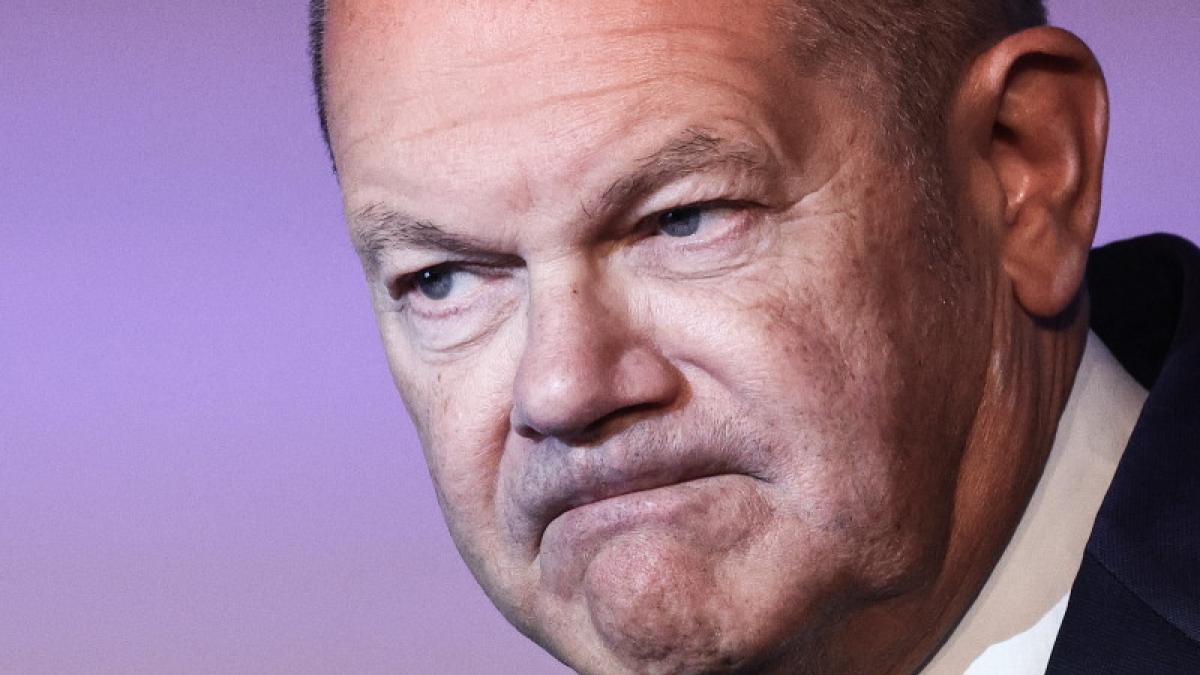 germania--ferma-cu-privire-la-invitatia-ucrainei-de-a-adera-la-nato--scholz-toata-lumea-stie-asta_47899200