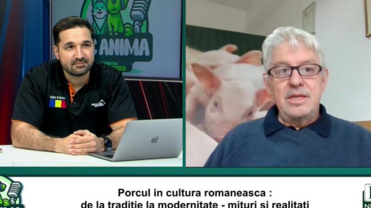 ioan-ladosi_44884600