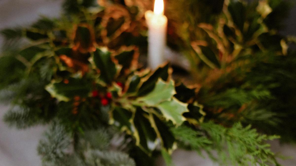 pexels-nati-87264186-29864194_11599200