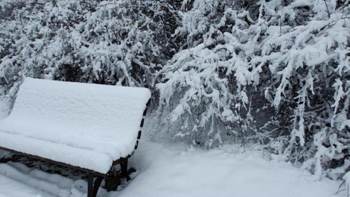 cod-portocaliu-de-ninsori-abundente-in-carpatii-meridionali-si-orientali--pana-de-craciun_75854000