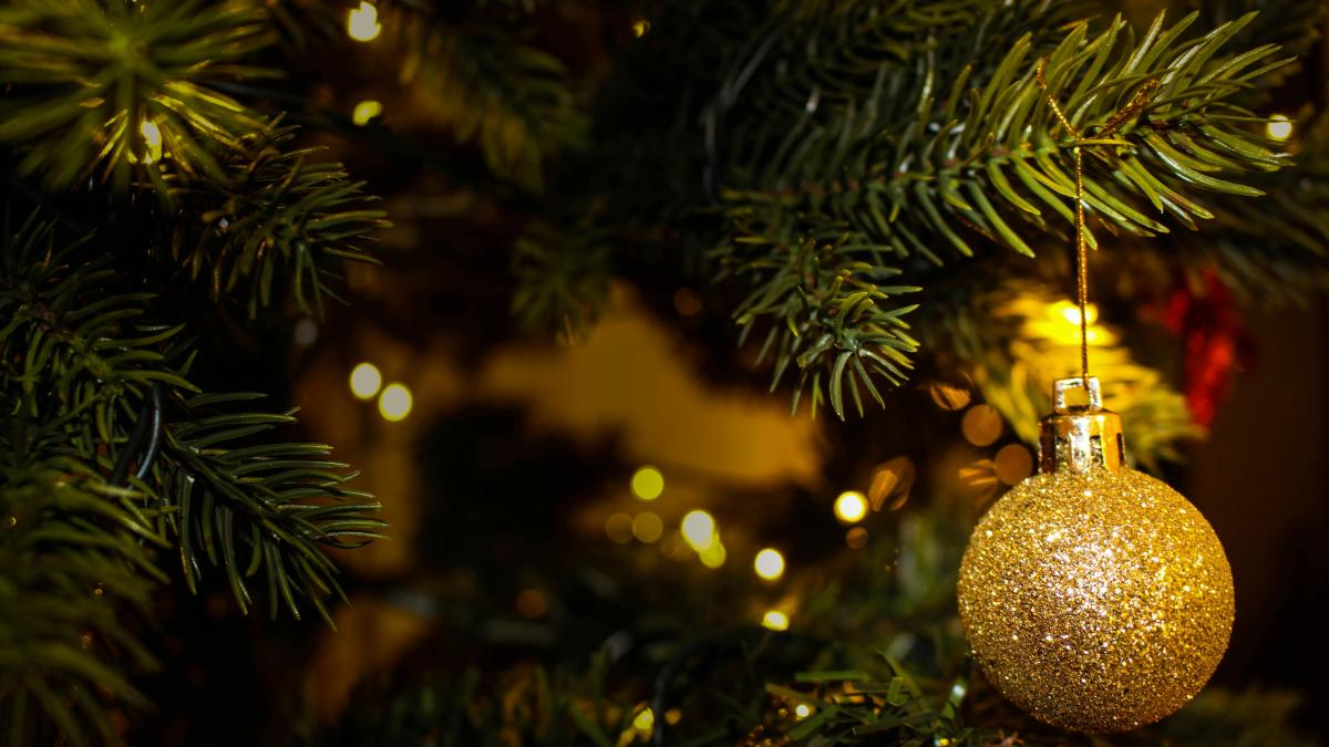 brad-craciun_98455000