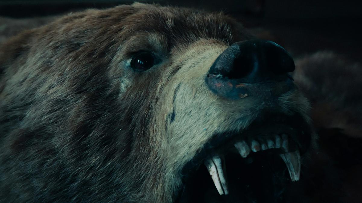 urs-in-sufragerie_44639300