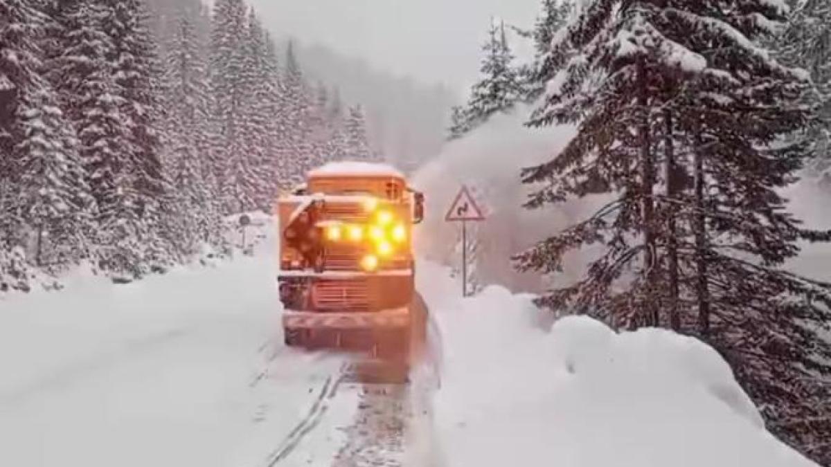 viscol-si-zapada-abundenta-pe-dn7a-voineasa---vidra---obarsia-lotrului--se-intervine-cu-utilaje-cu-lama-si-autofreze_61826100