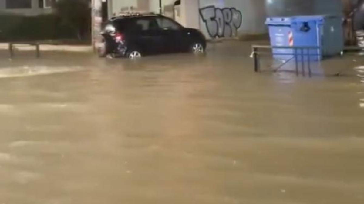 captura-de-ecran-din-2024-12-27-la-16-36-43_18540300