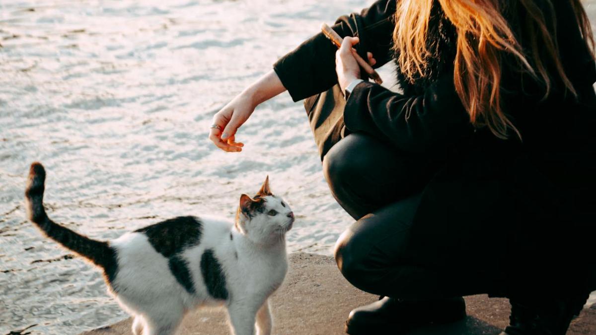 pexels-omerderinyar-29851909_52594000