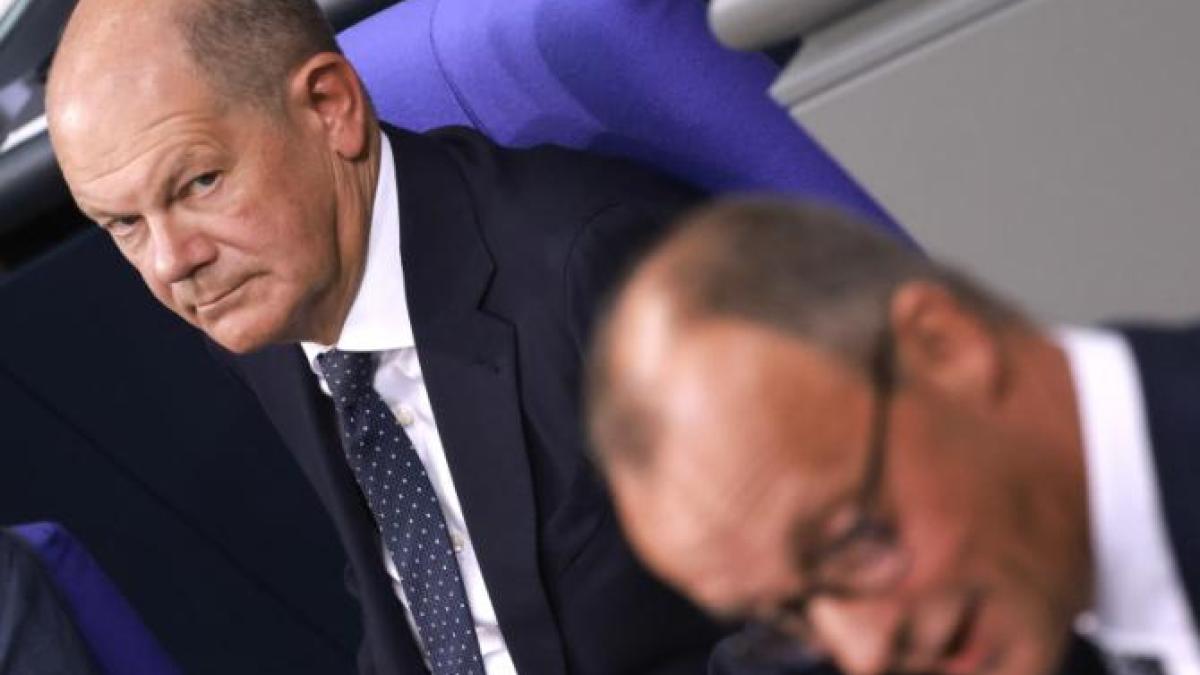 scholz-merz_76225600