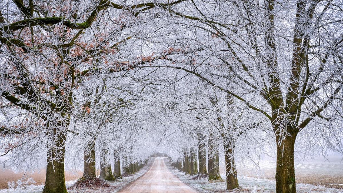 vremea-ianuarie-februarie-florinela-georgescu_43578000