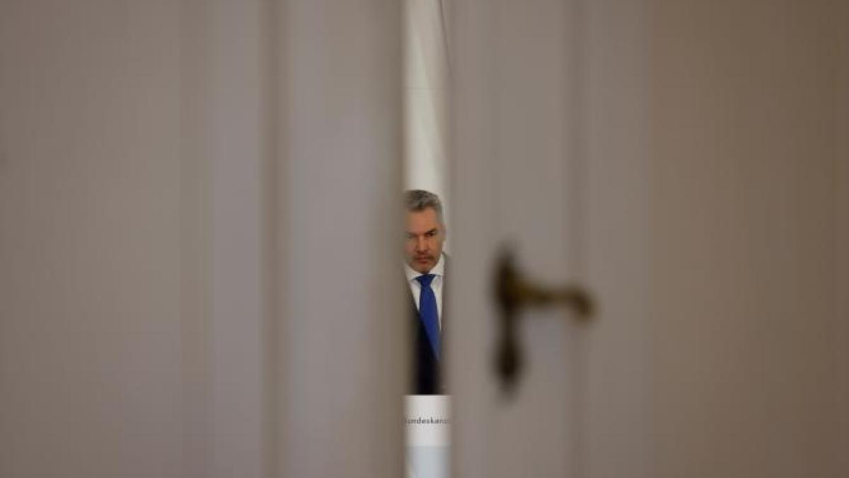 nehammer-usa_65718400