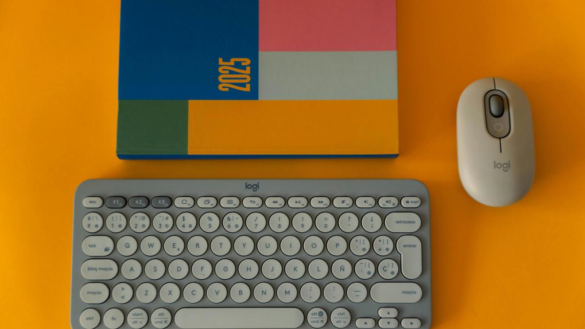 2025-pexels-viridianaor-29996972_77312200