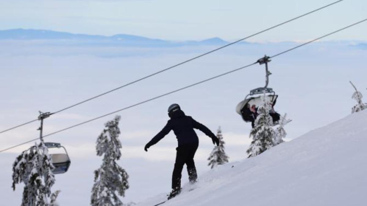 sabin_cornoiu_partie_romania_ager_90163600