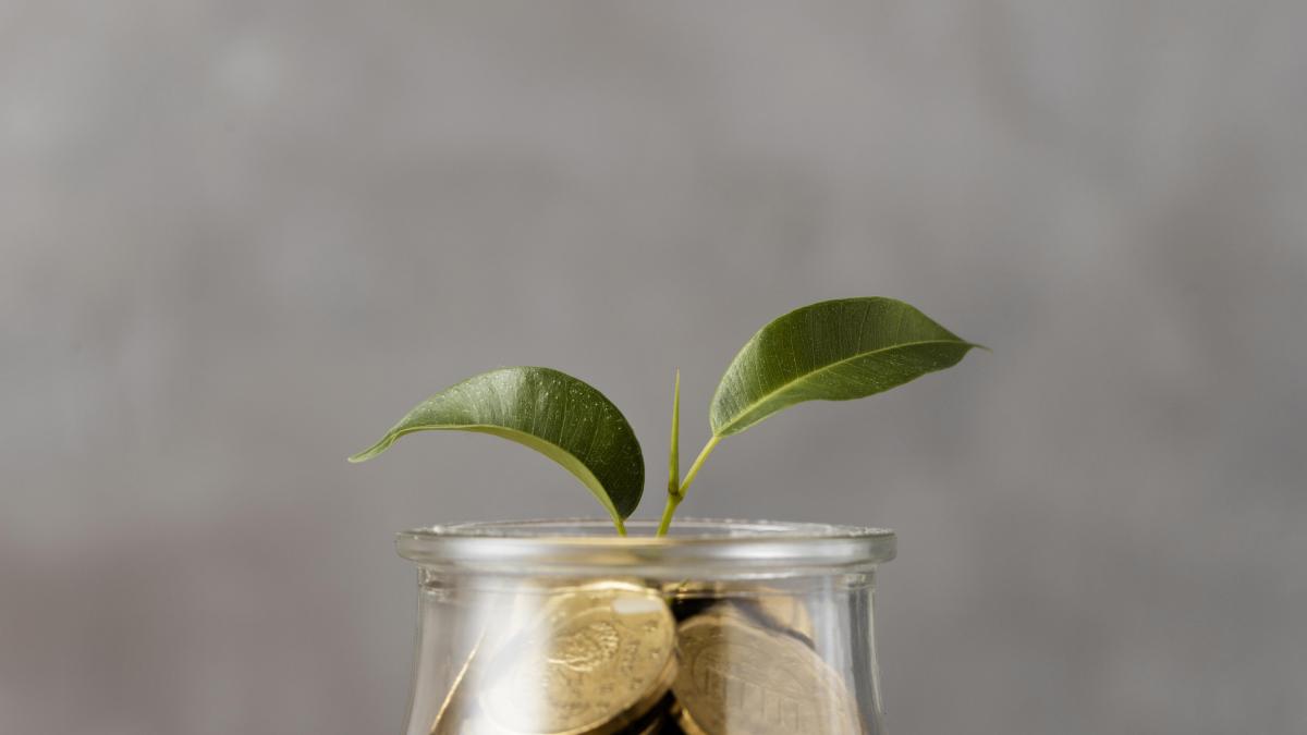 front-view-plant-growing-from-jar-coins_02472700