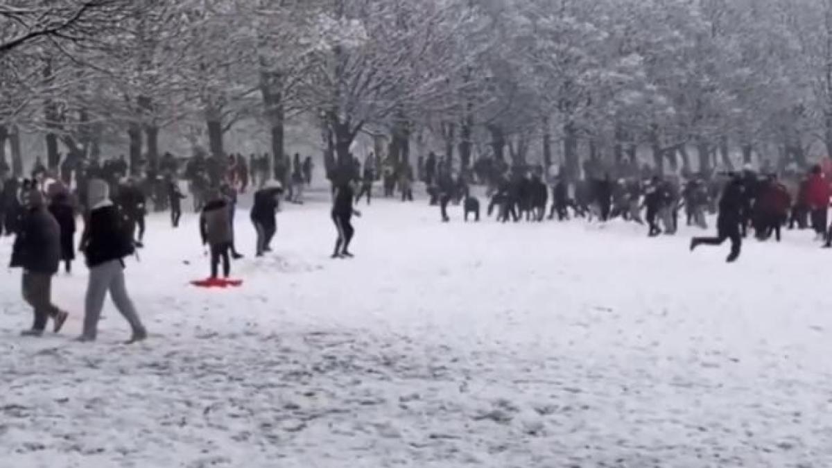 bataie-cu-bulgari-de-zapda-leeds_56597100