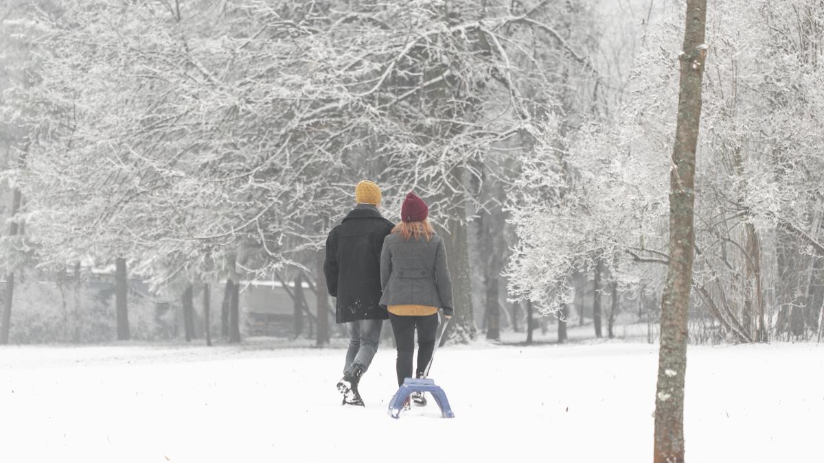 vine-gerul-elena-mateescu_17531700