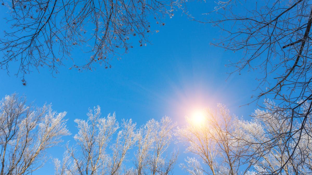 vreme-calda-iarna_54101000