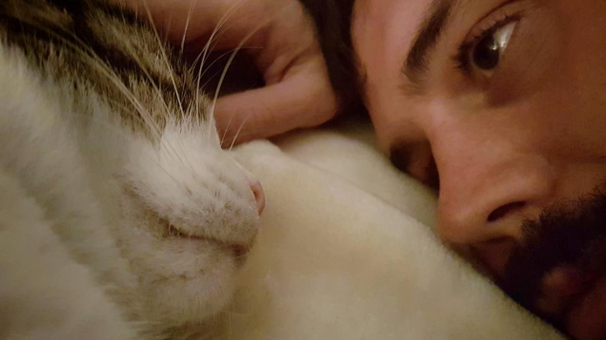 pisica-close-up-man-looking-cat-bed_33068300