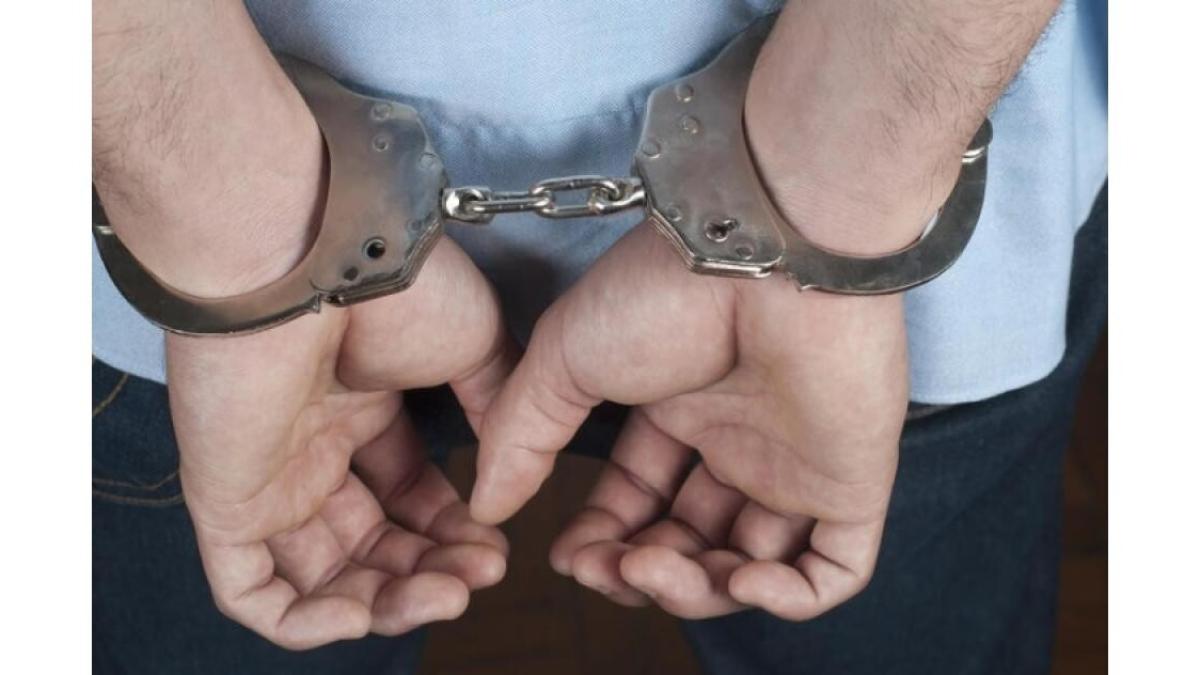 catuse_95587600_64682400