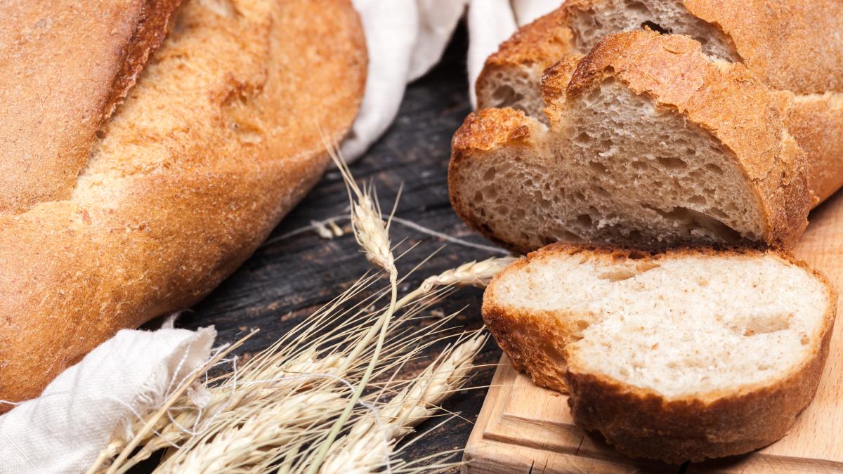 rustic-bread-paine_03552800