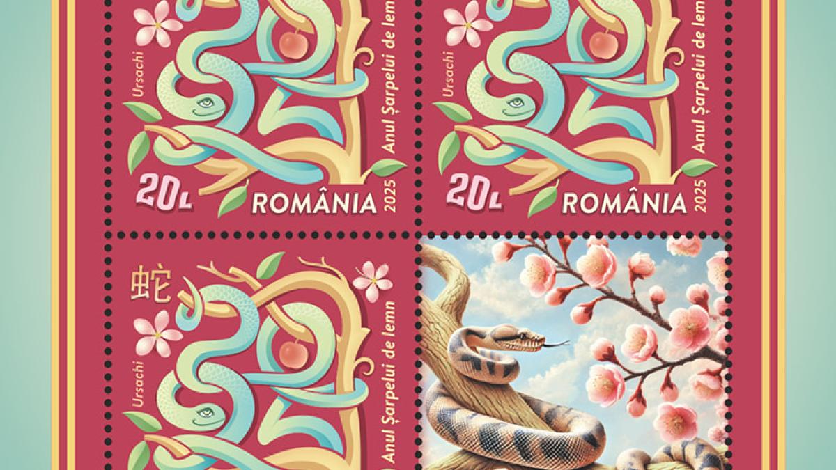 colita_anul-sarpelui--2025_21057700