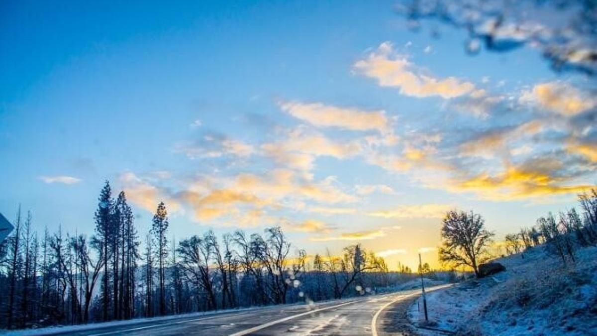 polei-anm-cod-galben_05561100