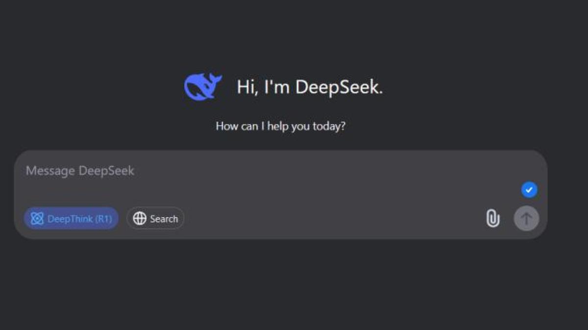 deepseek_01026900