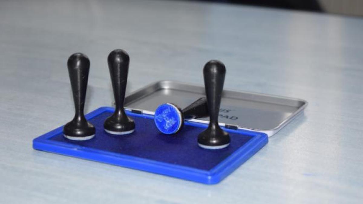 alegeri3-vot-stampila-parlamentare_87396200