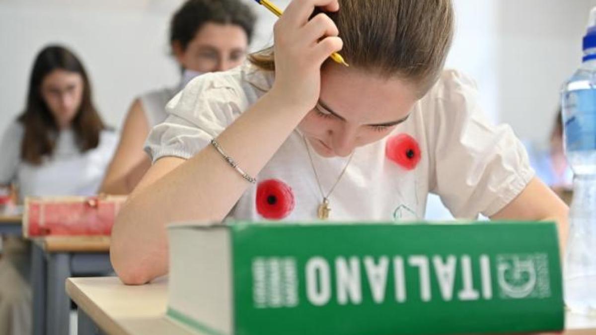 bacalaureat-evaluare-nationala-elev_53229700