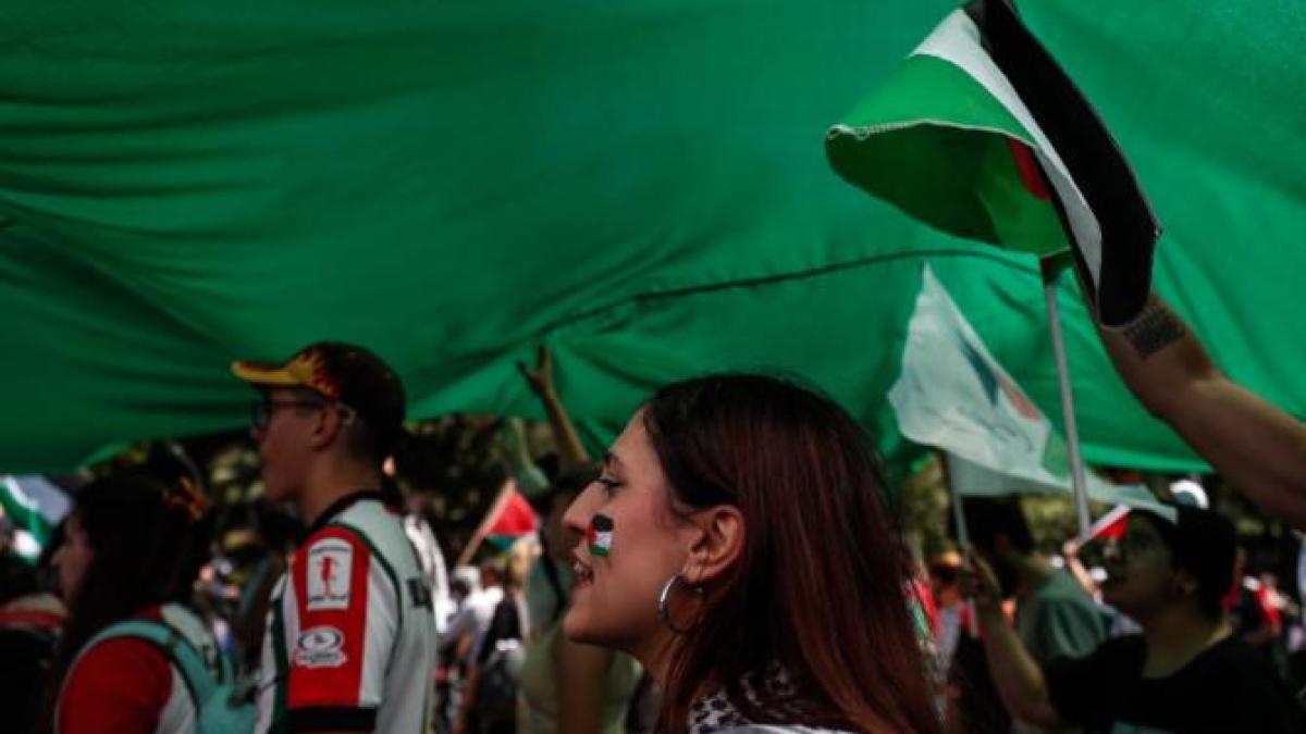 protestatarii-pro-palestina-le-sugereaza-oamenilor-de-pe-oxford-street-sa-boicoteze-marcile-prc-e2prc-80prc-9epro-israelprc-e2prc-80prc-9d-de-craciun_13636300