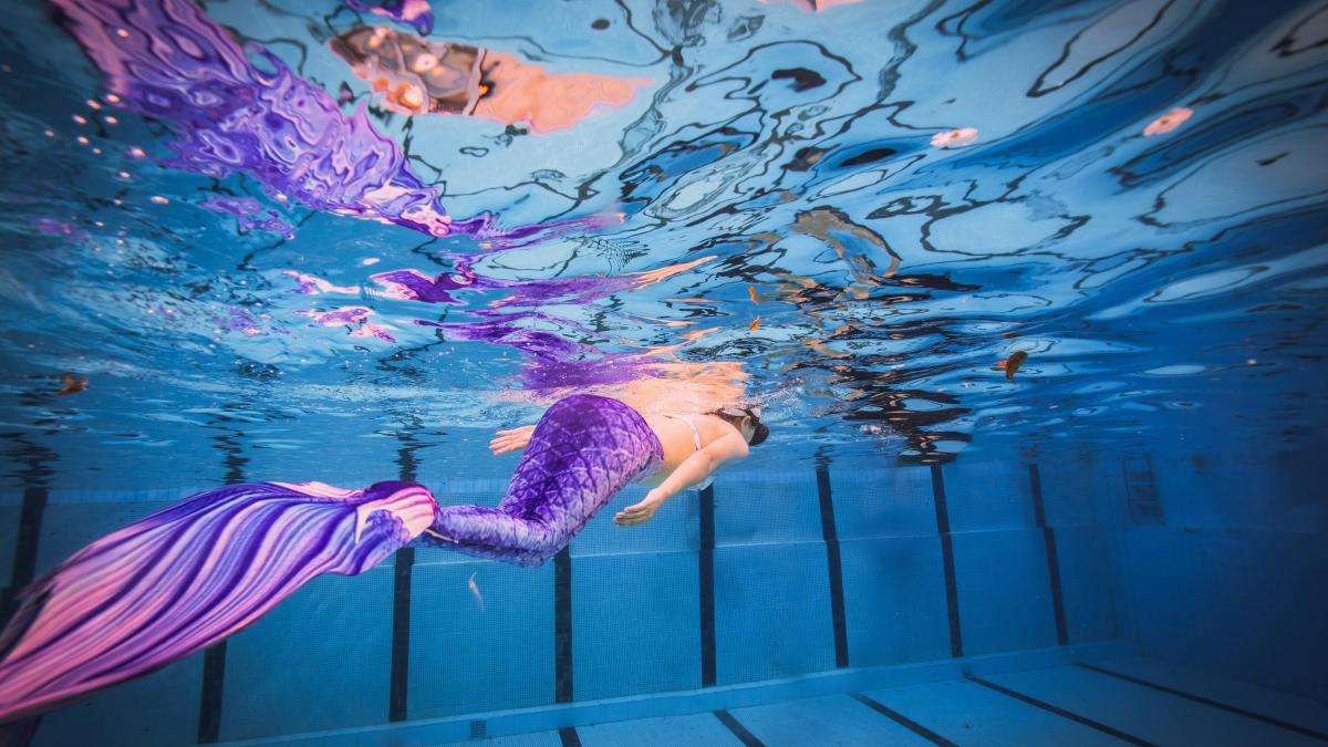 peste-musca-de-cap-o-sirena_73190200