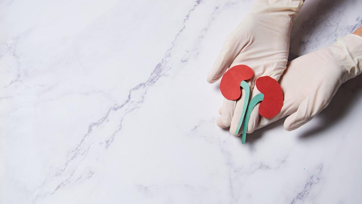 kidney-rinichi_91207300