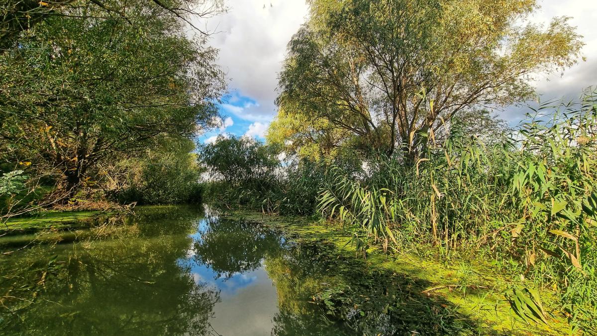 delta-dunarii_73945200