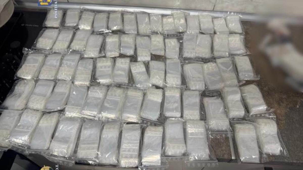 whatsapp-image-2025-02-06-at-15-49-24-3_83167900