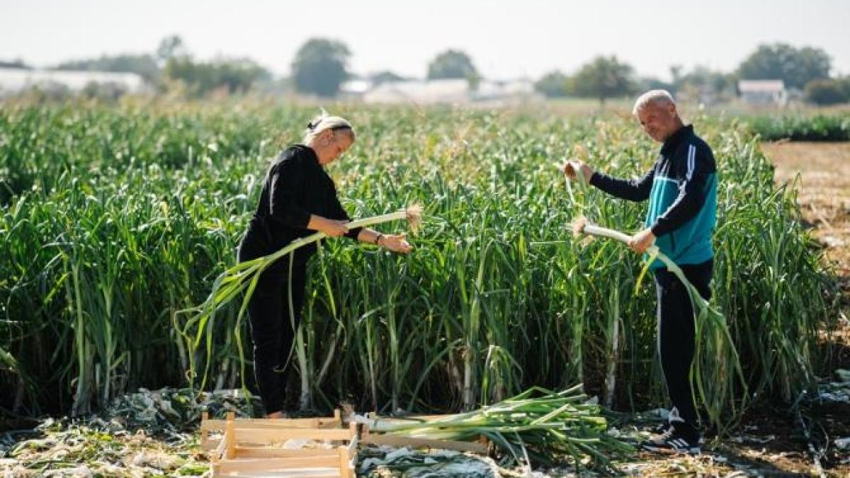 alegerea-produselor-locale--cheia-sustinerii-fermierilor-romani_86281100